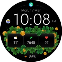 TVV Saint Patrick's Day 2