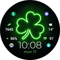 TVV Saint Patrick's Day 3